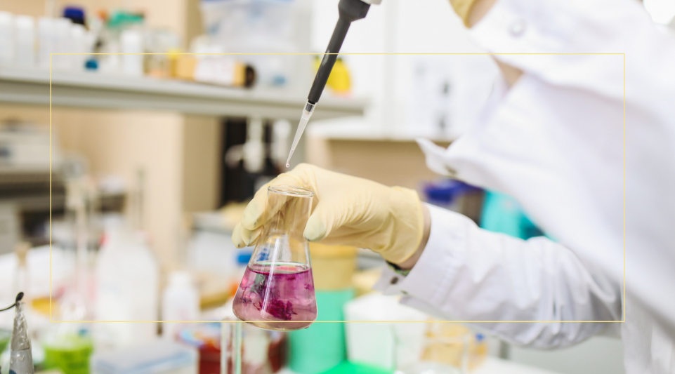Química copia 1