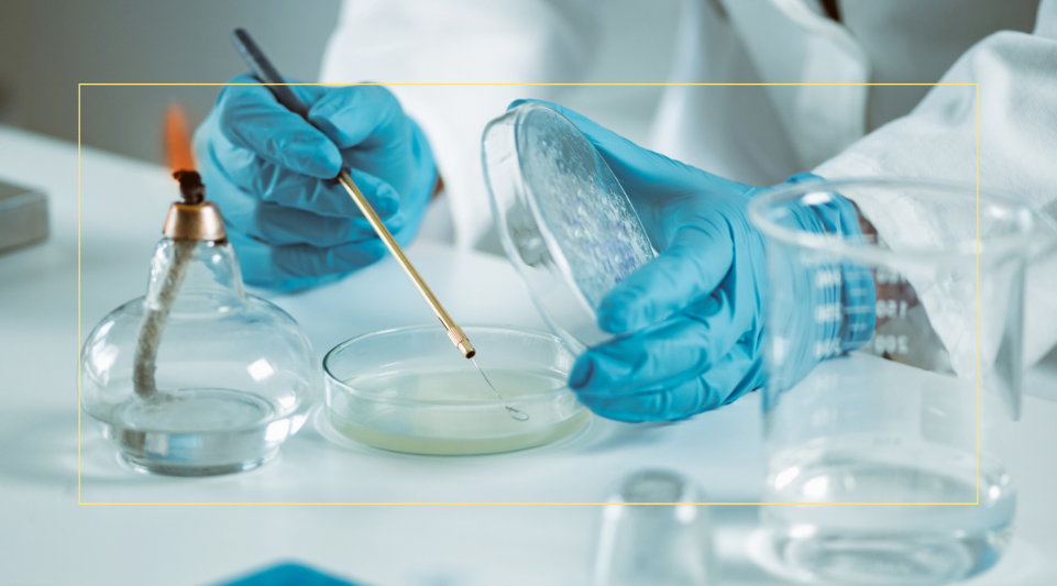 Biología copia 1